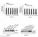 Fig. 08 - Plants Having Altered Expression and Activity of Yield-Related Proteins