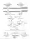 Fig. 02 - Engineered strain of for production of poly-R-3-hydroxyalkanoate polymers with defined monomer unit composition and methods based thereon