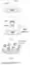 Fig. 02 - METHODS AND COMPOSITIONS FOR CLONING CIRCULAR RNA
