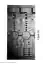 Fig. 08 - Methods for analyzing genomic variation within cells