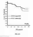 Fig. 09 - METHODS OF IDENTIFYING PROLIFERATION SIGNATURES FOR COLORECTAL CANCER