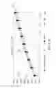 Fig. 16 - DURABLE CANTED OFF-AXIS DRIVER FOR QUIET PNEUMATIC PUMPING