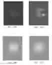 Fig. 33 - Systems and methods related to optical nanosensors comprising photoluminescent nanostructures