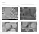 Fig. 02 - Phosphor-integrated nanoparticles used in fluorescence observation