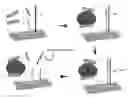 Fig. 01 - Molecular biosensors capable of signal amplification