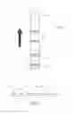 Fig. 02 - Methods for Immuno Chromatographic Assay Desensitization