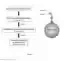 Fig. 02 - Method of Diagnosing Bacterial Infections Using Bacterial Glycoproteins