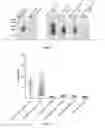 Fig. 08 - Method of Diagnosing Bacterial Infections Using Bacterial Glycoproteins