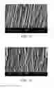 Fig. 04 - Scintillator, scintillator panel, radiation detector and method of manufacturing scintillator