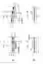 Fig. 02 - Optical component with angled-facet waveguide