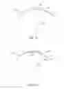 Fig. 13 - Conformable therapeutic shield for vision and pain