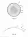 Fig. 18 - Conformable therapeutic shield for vision and pain