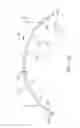 Fig. 29 - Conformable therapeutic shield for vision and pain