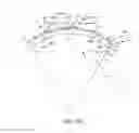 Fig. 33 - Conformable therapeutic shield for vision and pain