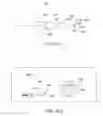 Fig. 50 - Conformable therapeutic shield for vision and pain