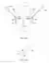 Fig. 51 - Conformable therapeutic shield for vision and pain