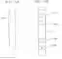 Fig. 17 - MEASURING METHOD, STAGE APPARATUS, AND EXPOSURE APPARATUS