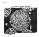 Fig. 04 - Ferrite particle having outer shell structure