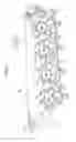 Fig. 03 - Image forming apparatus