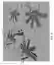 Fig. 06 - Automated creel systems and methods for using same