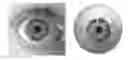 Fig. 01 - Methods and systems of generating a parametric eye model