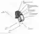 Fig. 01 - Surgeon head-mounted display apparatuses