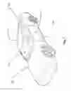 Fig. 02 - Secure communications with sensitive user information through a vehicle