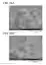 Fig. 27 - POSITIVE ELECTRODE ACTIVE MATERIAL, POWER STORAGE DEVICE, ELECTRONIC DEVICE, AND METHOD FOR MANUFACTURING POSITIVE ELECTRODE ACTIVE MATERIAL