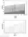 Fig. 05 - Smart data cap avoidance with personalized predictions based on linear regression or historical usage alpha-generation patterns