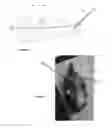 Fig. 02 - Bait hosting fishing devices
