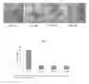 Fig. 06 - Uses of sp. or volatile organic compounds derived therefrom