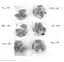 Fig. 09 - Uses of sp. or volatile organic compounds derived therefrom