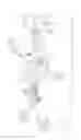 Fig. 02 - Meat processing equipment having improved yieldable arresting means