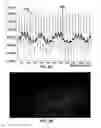 Fig. 06 - Methods and systems for obtaining physiologic information