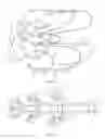 Fig. 09 - MULTI-SPLINE, MULTI-ELECTRODE CATHETER AND METHOD OF USE FOR MAPPING OF INTERNAL ORGANS