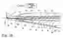 Fig. 19 - Method for placement of neuromonitoring needles