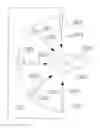 Fig. 01 - Internal Tissue Heating Apparatus