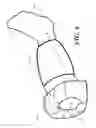Fig. 06 - Stockinette having folded structure for simplified applicaiton