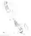 Fig. 02 - DENTAL HANDPIECES