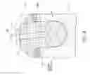Fig. 09 - Therapeutic tooth bud ablation