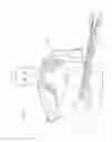 Fig. 02 - SHOULDER BRACE
