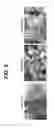 Fig. 07 - Process for forming active domains dispersed in a matrix