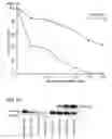 Fig. 09 - Compounds and methods for treating HIV infection