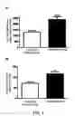 Fig. 02 - COMPOSITION FOR INCREASING EXERCISE PERFORMANCE ABILITY AND ENHANCING PHYSICAL STRENGTH, CONTAINING COMPOSITE EXTRACT