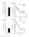 Fig. 02 - Methods and compositions for improved cognition
