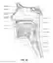 Fig. 06 - Patient interface comprising a gas washout vent