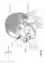 Fig. 08 - Patient interface comprising a gas washout vent
