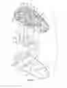 Fig. 04 - Hand-held baseball umpire's count indicator