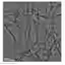 Fig. 01 - Heteroatom-containing nanocarbon material, preparation method and use thereof, and method for dehydrogenation reaction of hydrocarbons
