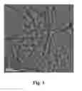 Fig. 02 - Heteroatom-containing nanocarbon material, preparation method and use thereof, and method for dehydrogenation reaction of hydrocarbons